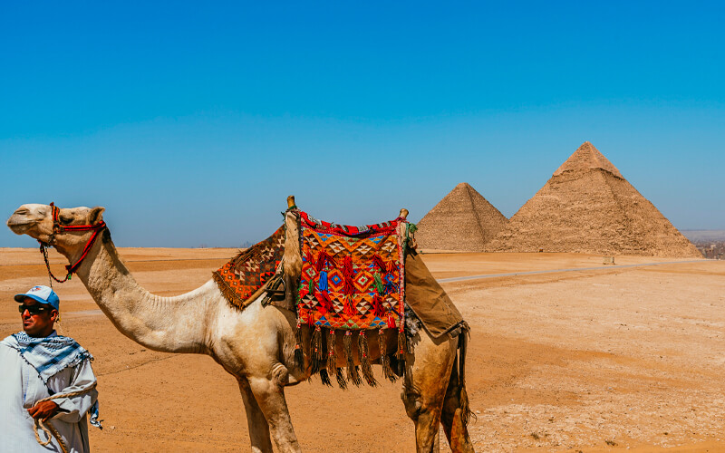 Climate in Egypt: Know the best time to visit Egypt
