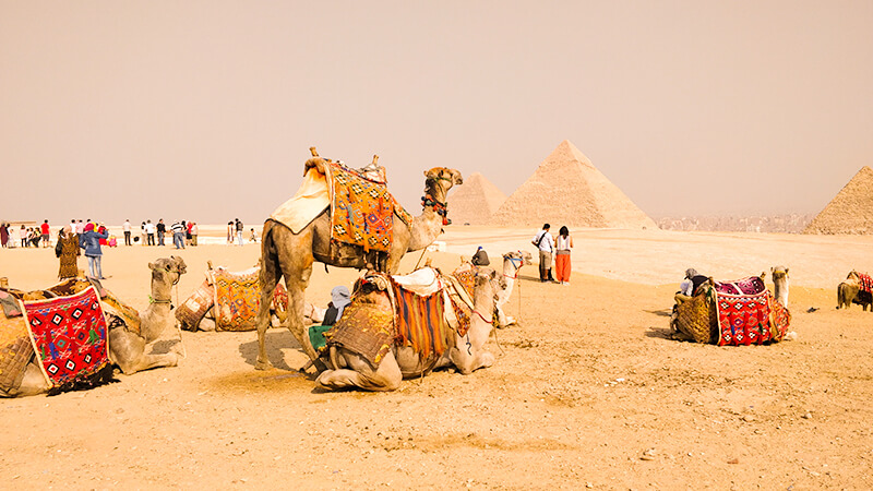 The Great Pyramids of Giza