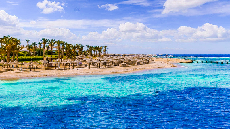 Summer Vacation in Egypt