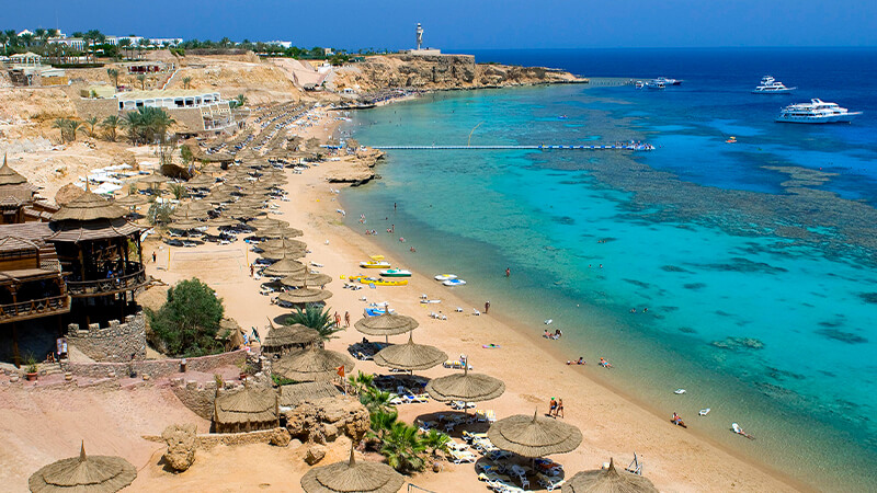 Summer Vacation in Egypt