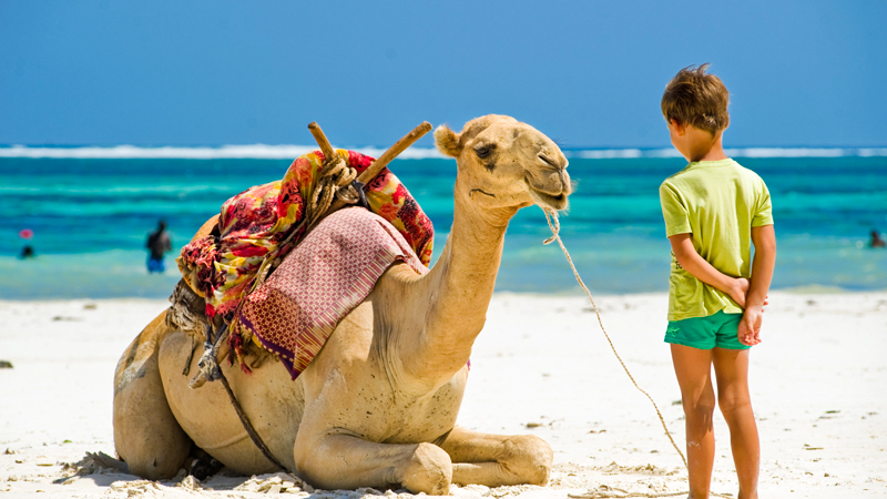 Travel to Egypt from USA with Kids